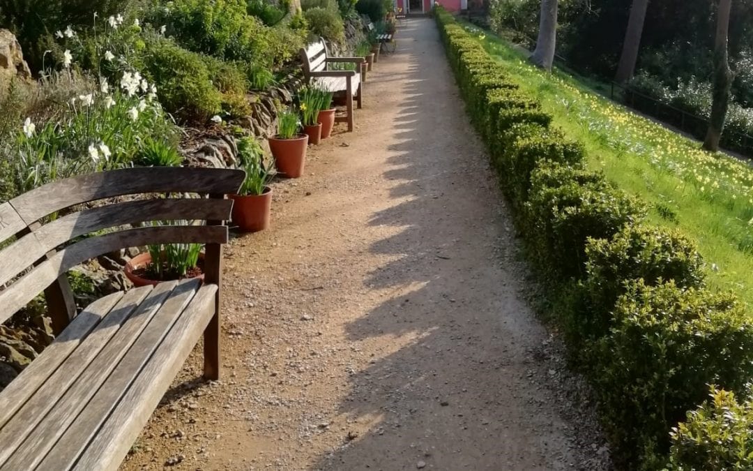 Garden update 3 April 2020