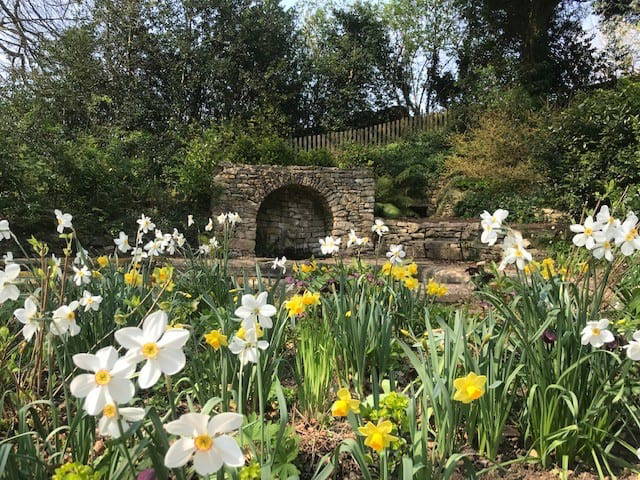 Garden update 17 April 2020