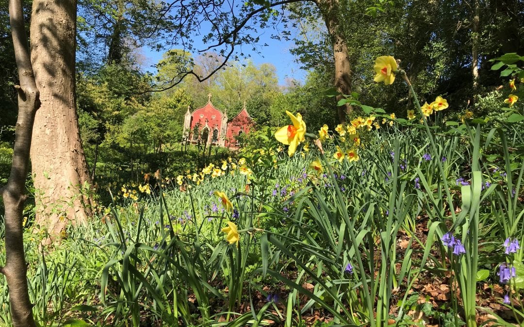 Garden update 2 May 2020