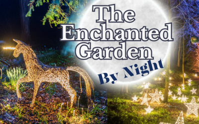 The Enchanted Garden By Night