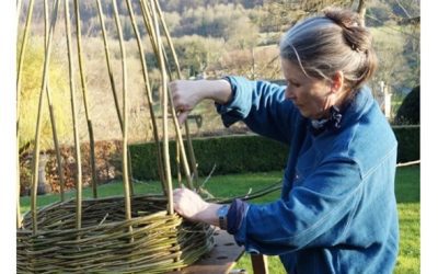Willow Weaving Workshop