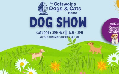 Family Dog Show